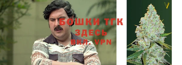прущие крисы Надым