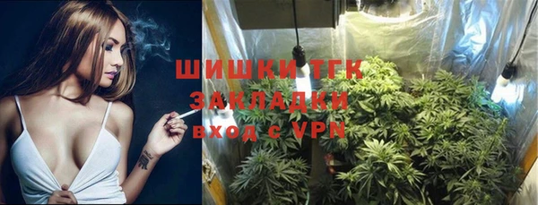 прущие крисы Надым