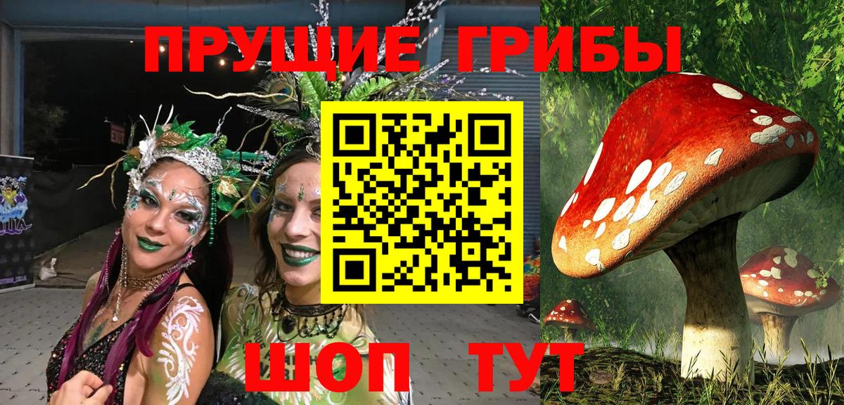 Урус-Мартан  Галлюциногенные грибы Psilocybine cubensis  Вход с VPN  Галлюциногенные грибы GOLDEN TEACHER 