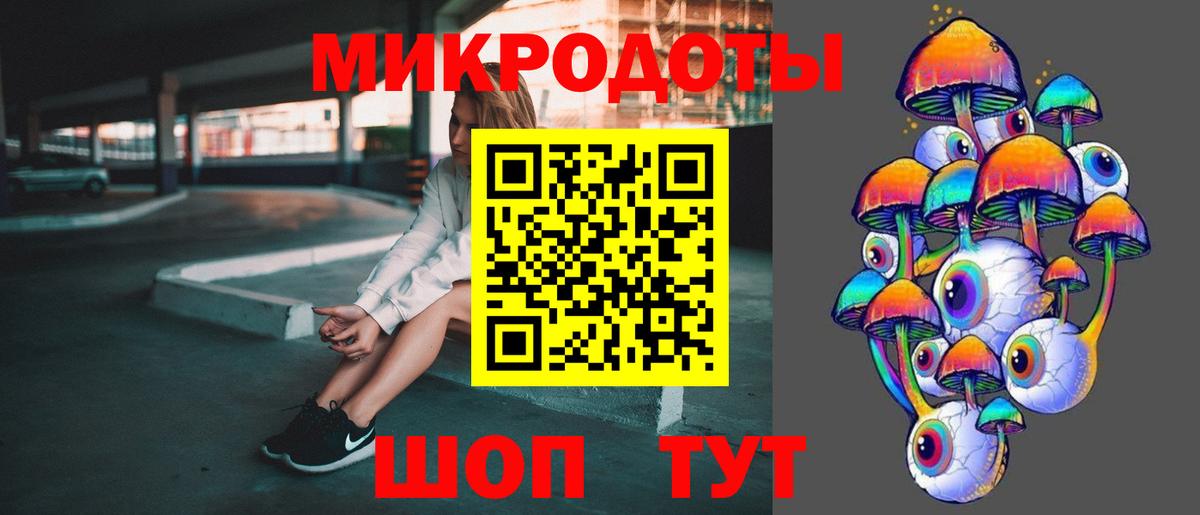 Псилоцибиновые грибы Psilocybe Урус-Мартан
