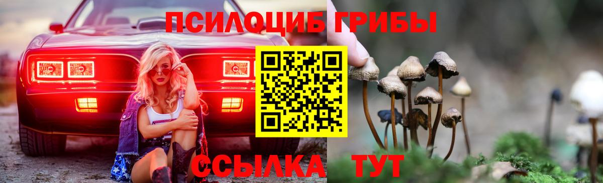 Галлюциногенные грибы прущие грибы  Урус-Мартан  Псилоцибиновые грибы MAGIC MUSHROOMS 