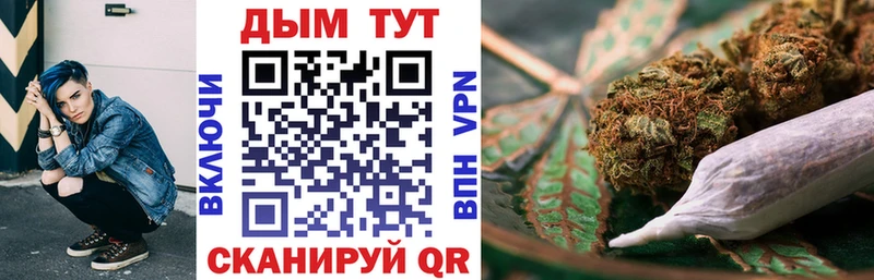 Бошки Шишки план KRAKEN ссылки Урус-Мартан